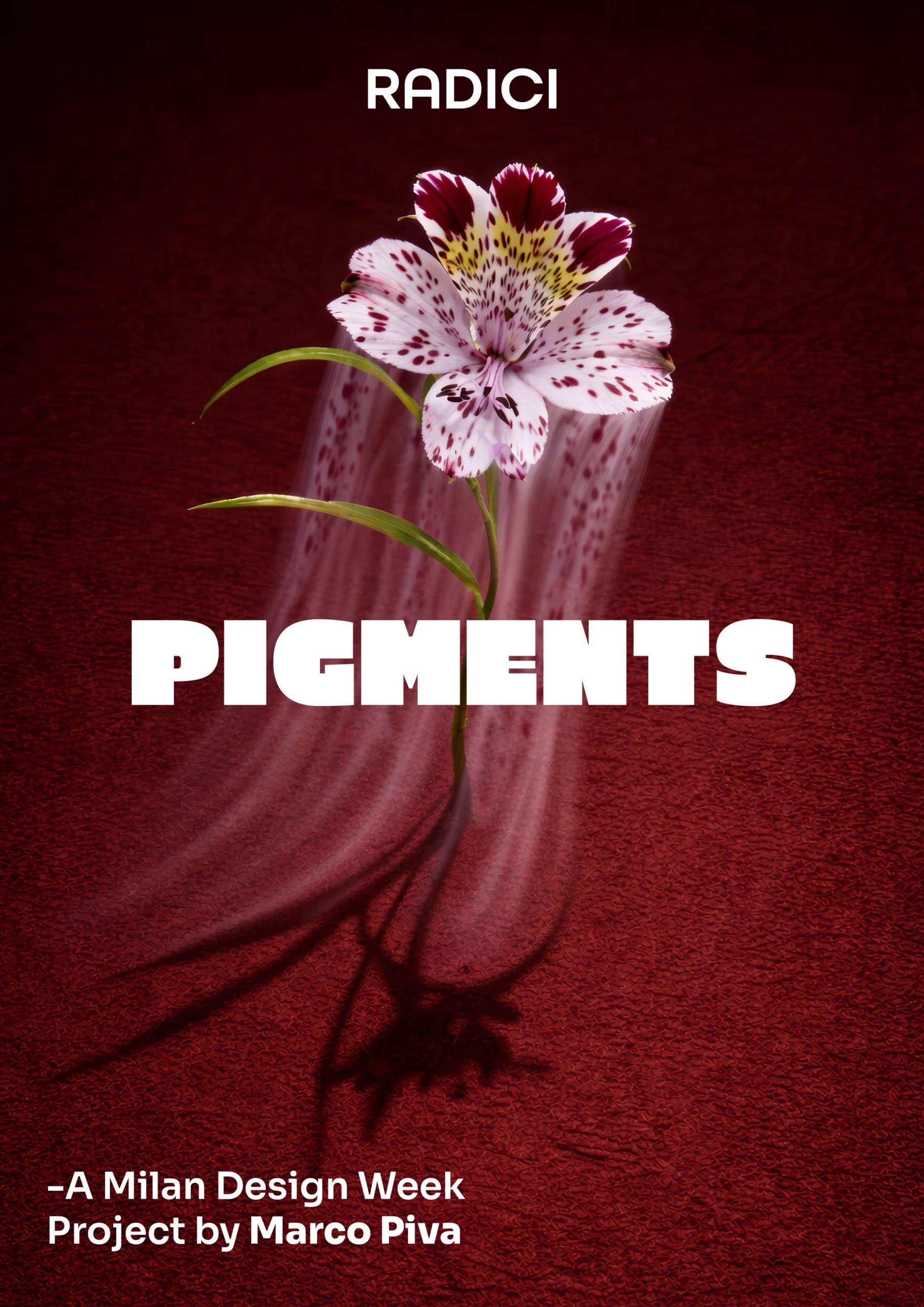 Copertina_Pigments